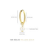 Pendientes Delia Crest | Oro